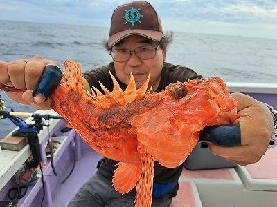 オニカサゴ