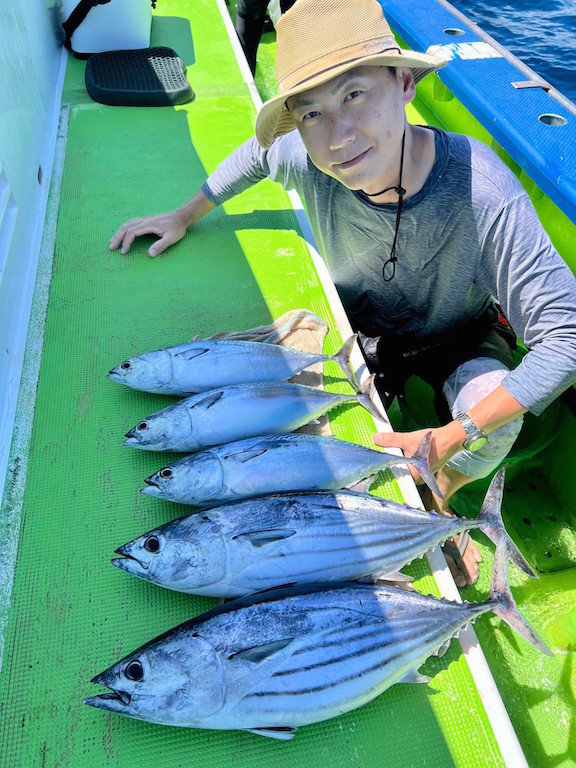 相模湾（神奈川県）で釣れたカツオの最新釣果、釣り情報【2024年8月】