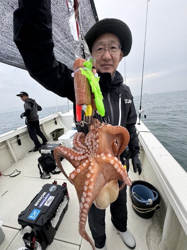 タコ(マダコ)