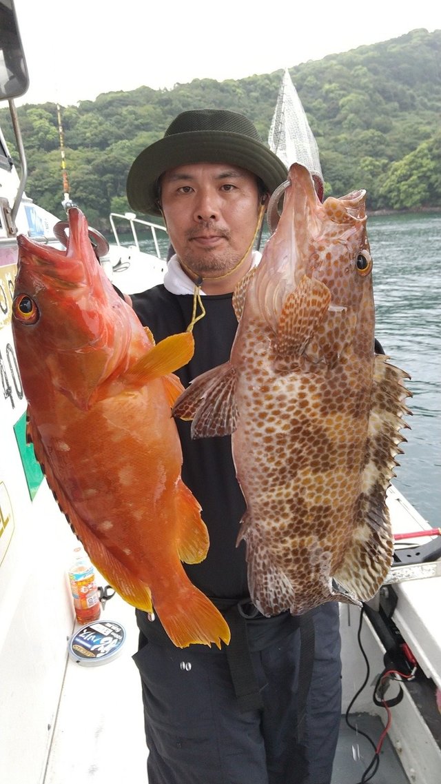 アカハタ・オオモンハタ