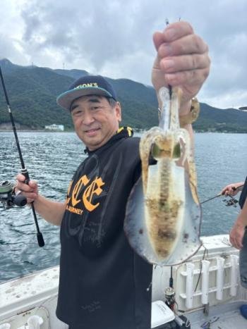 福井県で釣れたアオリイカの最新釣果、釣り情報【2024年9月】