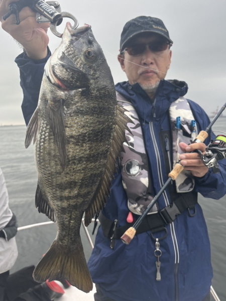 クロダイ