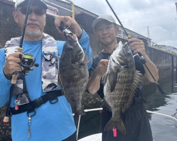 クロダイ