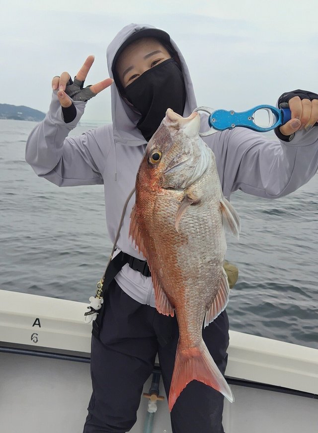 マダイ