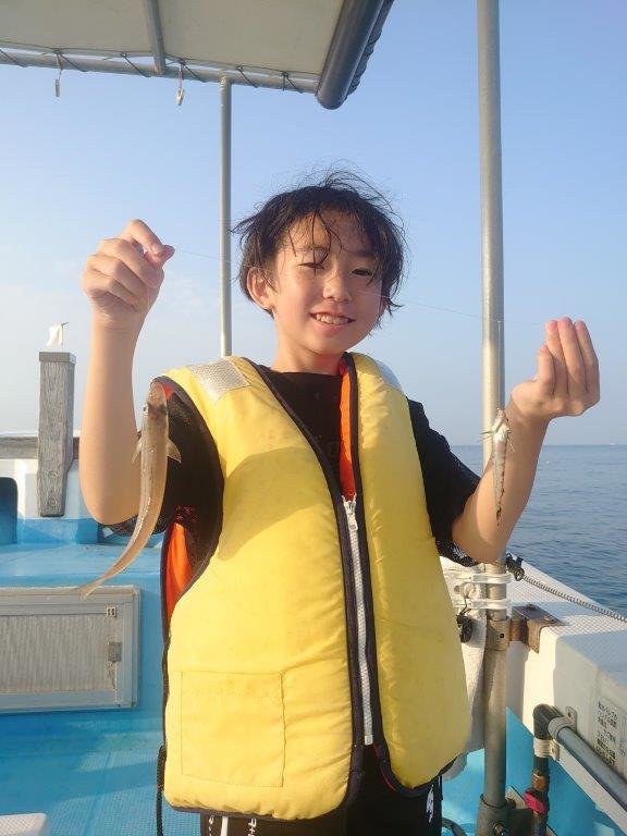 シロギス