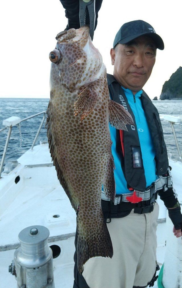 オオモンハタ