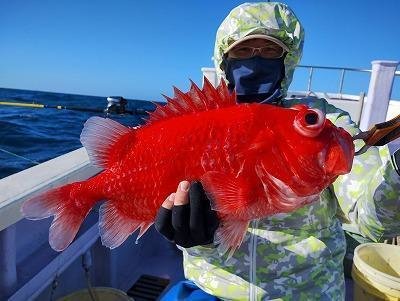 千葉県で釣れたエビスダイの最新釣果、釣り情報【2024年12月】