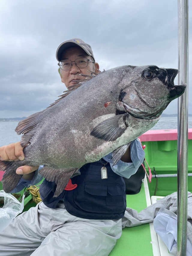 千葉県で釣れたイシダイの最新釣果、釣り情報【2024年12月】