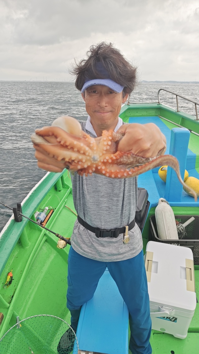 マダコ