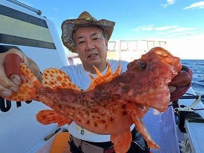 オニカサゴ