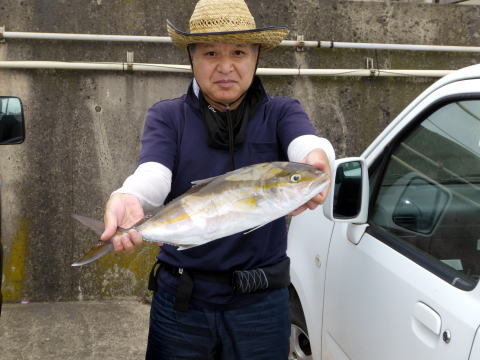カンパチ