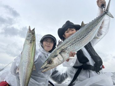 サワラ