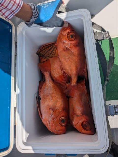チカメキントキ