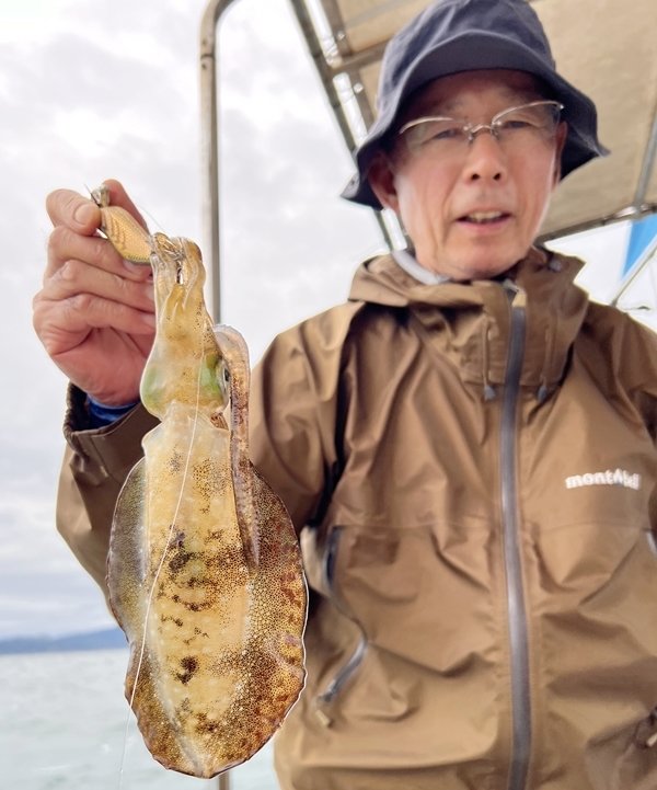 アオリイカ