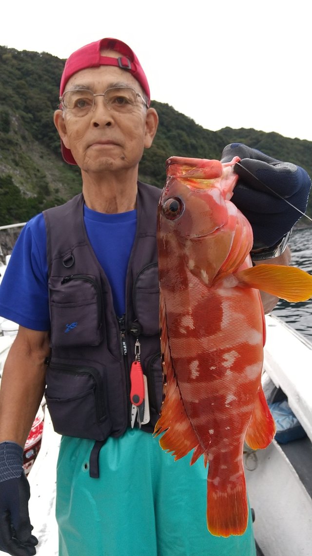 アカハタ