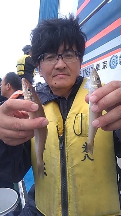 シロギス