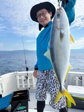 ハマチ(ブリ)