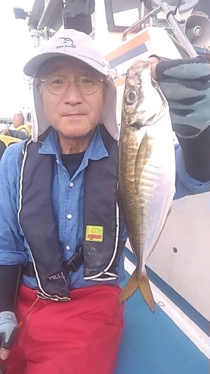 アジ(マアジ)