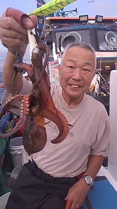 マダコ