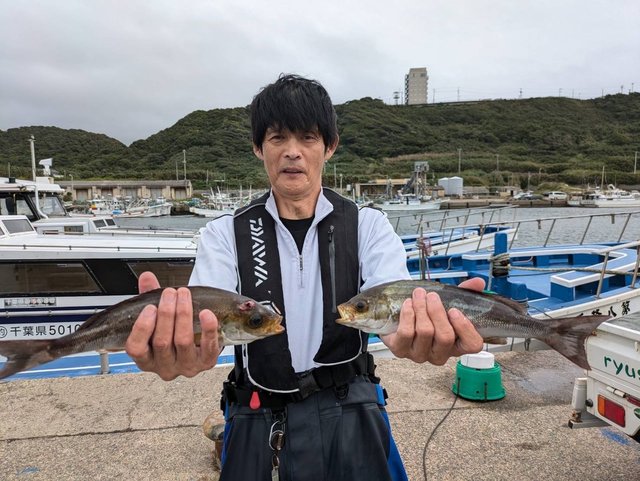イサキ