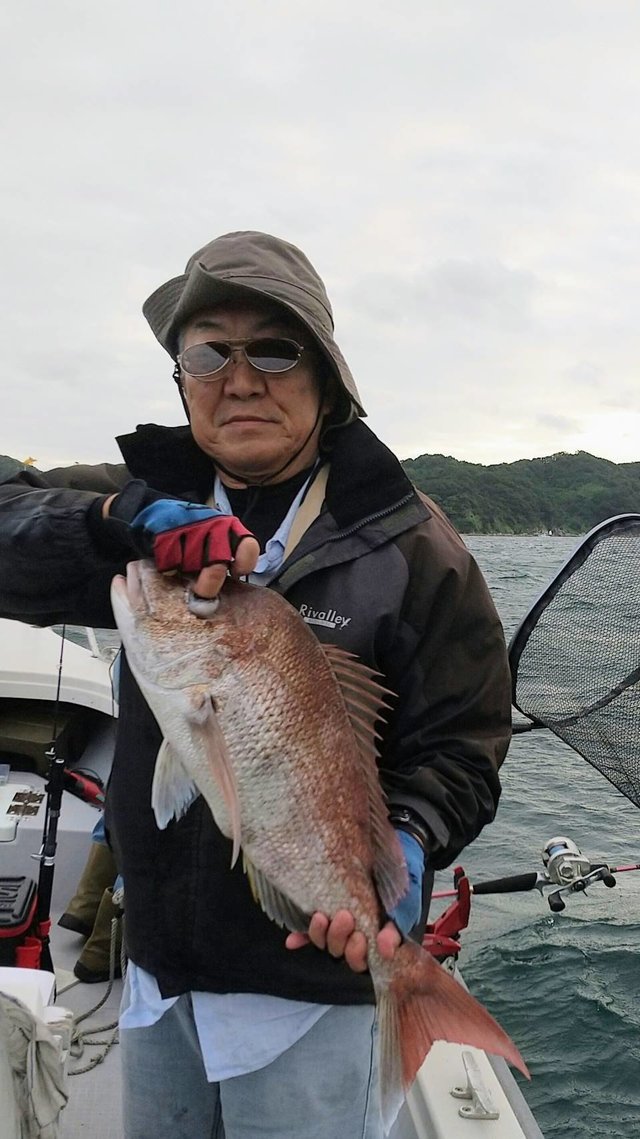 マダイ
