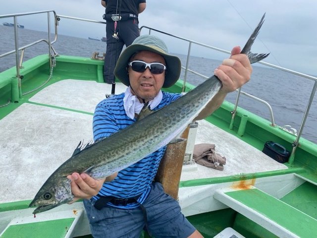 サワラ