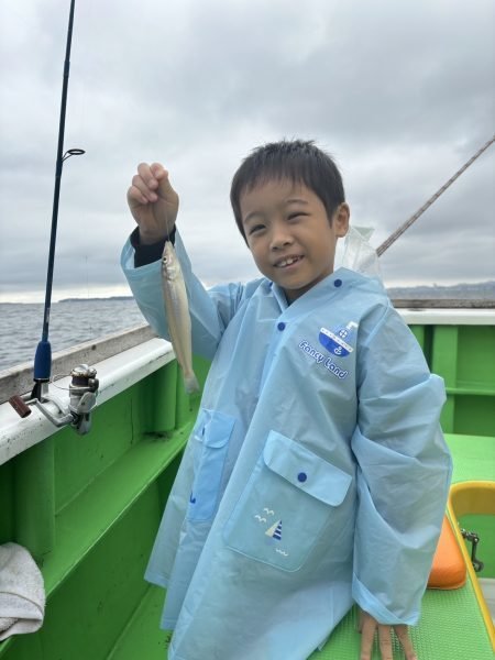 シロギス