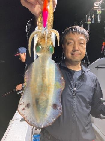 アオリイカ