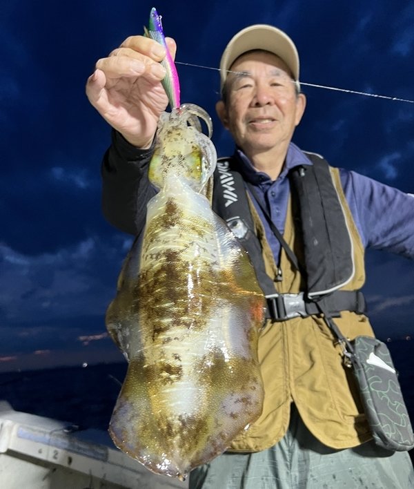 アオリイカ