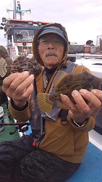 カワハギ