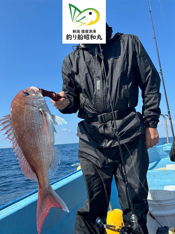 マダイ