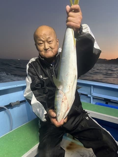 ハマチ(ブリ)