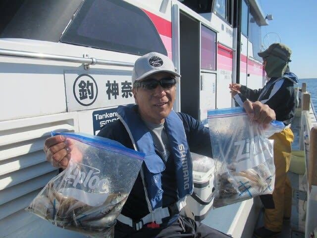 シロギス