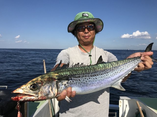 サワラ