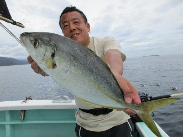 静岡県で釣れたイサキの最新釣果、釣り情報【2024年10月】