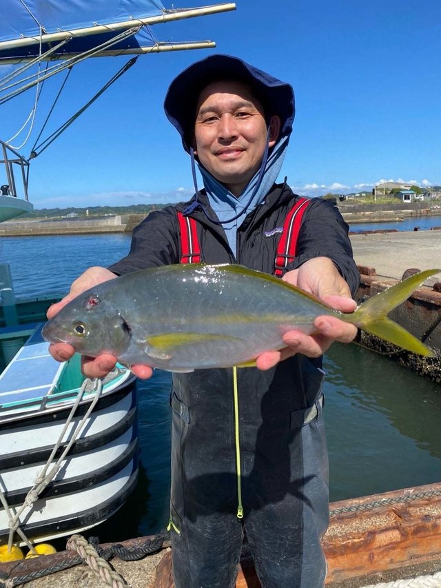 シマアジ