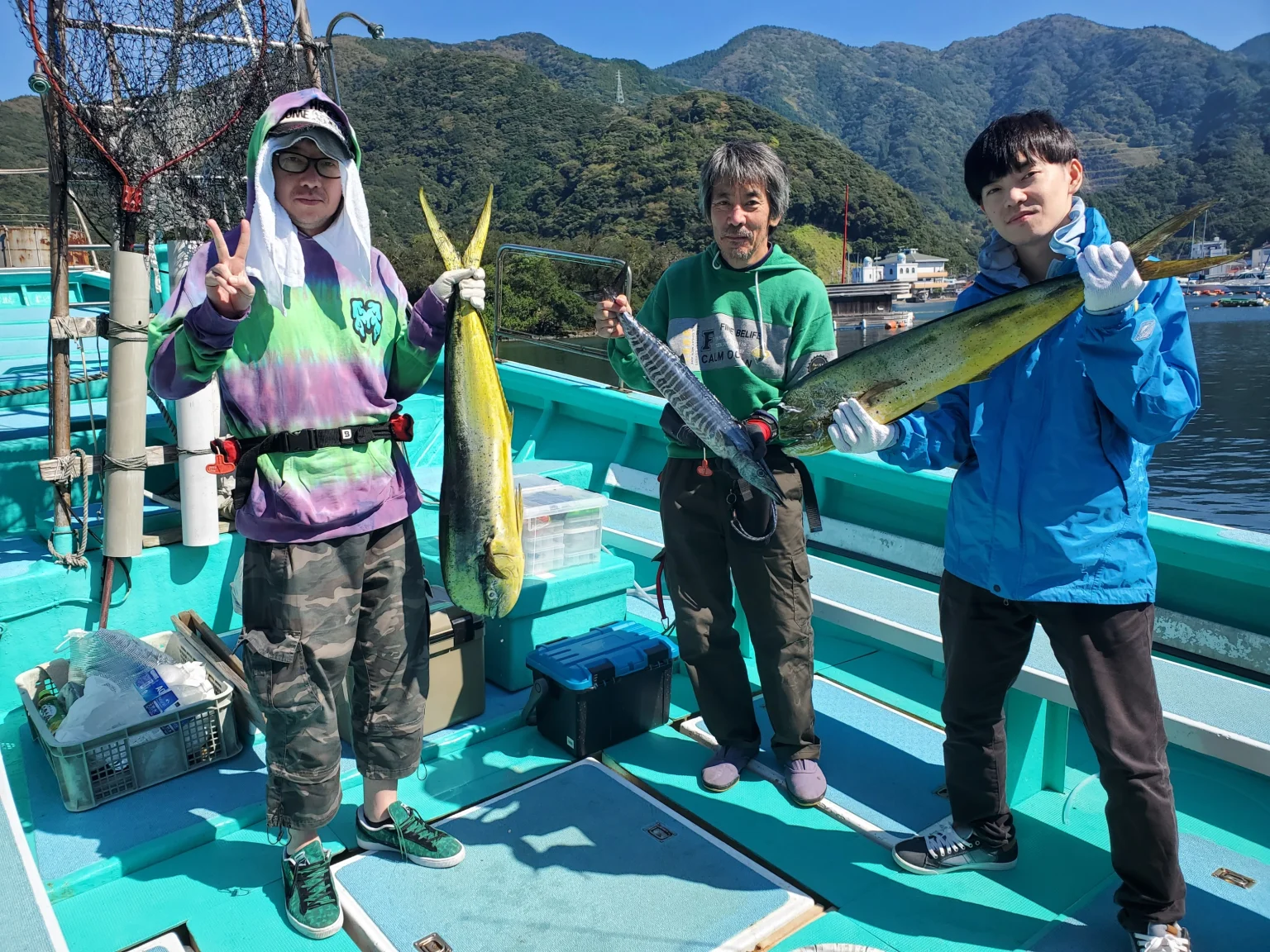 シイラ