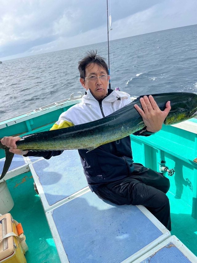 シイラ