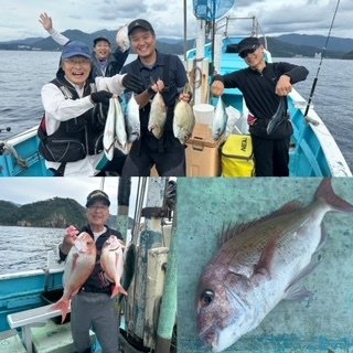 マダイ
