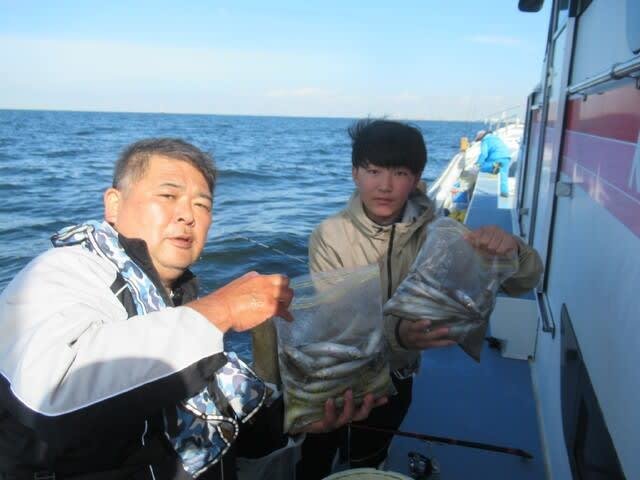 シロギス