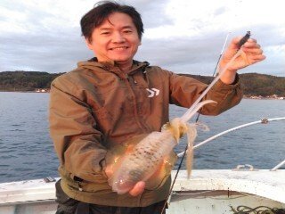 アオリイカ