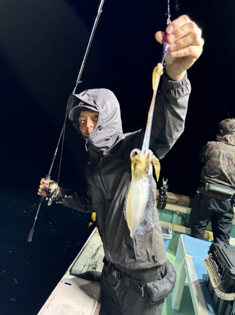 アオリ(アオリイカ)