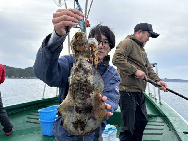 アオリイカ