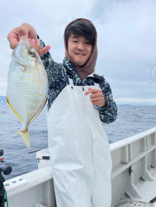 カイワリ
