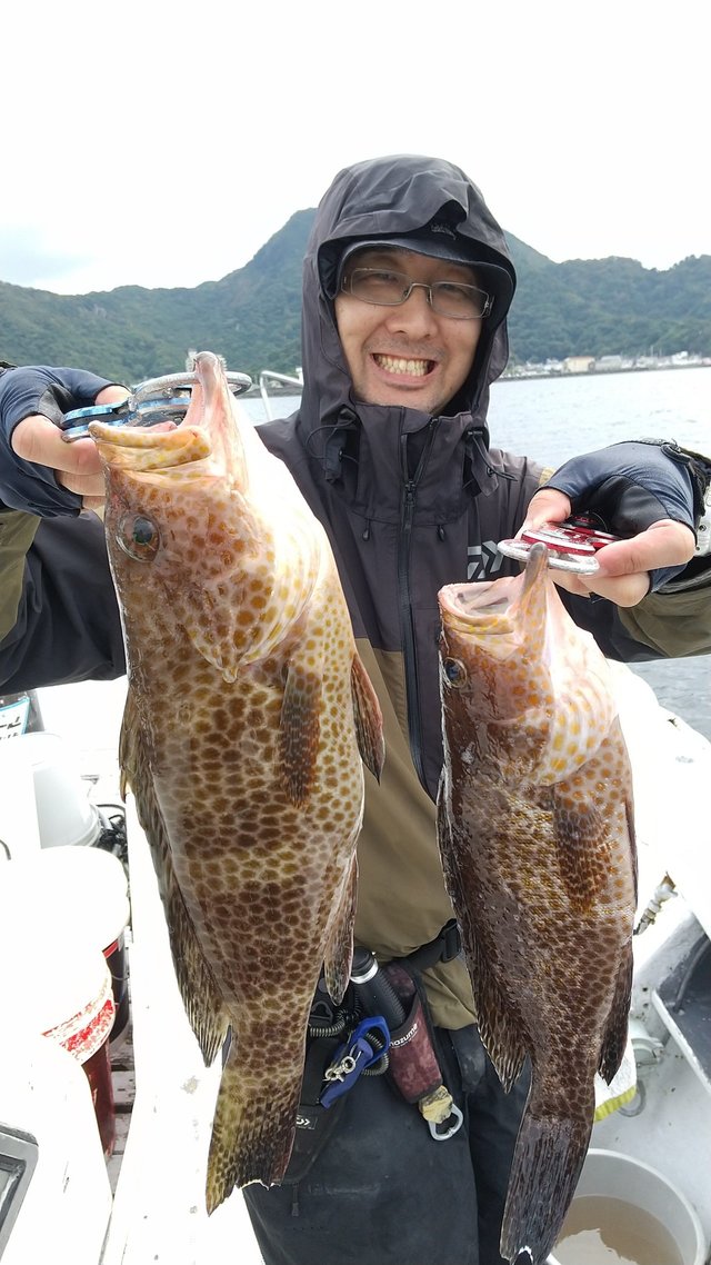 オオモンハタ