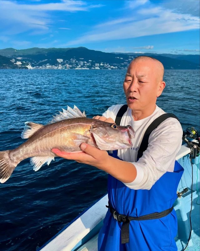 アラ