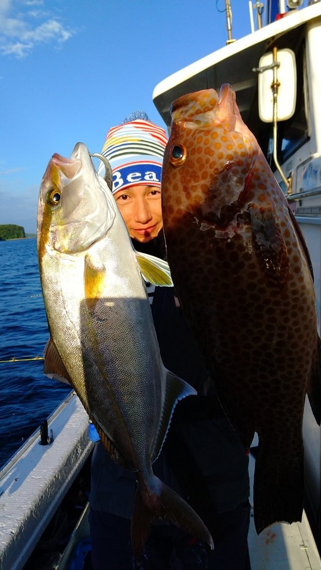 オオモンハタ・カンパチ