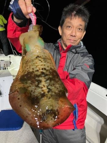 アオリイカ