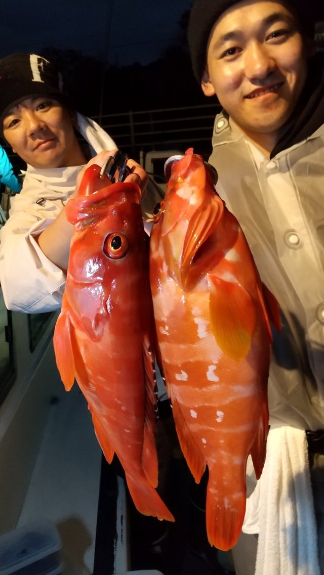 アカハタ