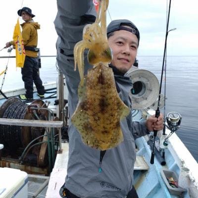 アオリイカ